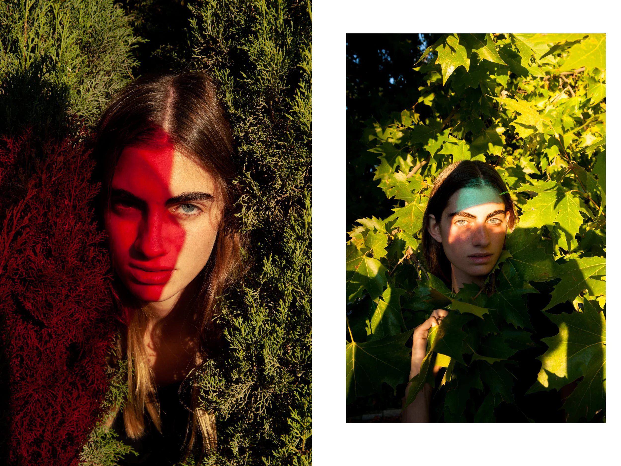 Tigre's_Beauty Portfolio_202521.jpg