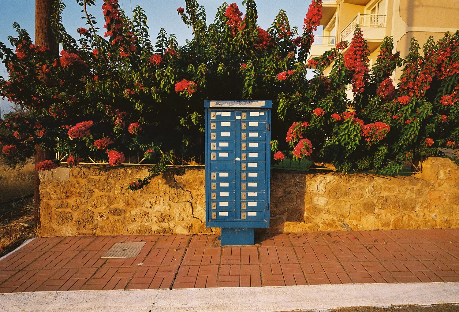 Estate_08 copy.jpg