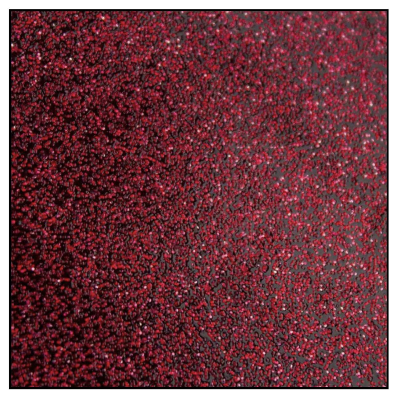 Screenshot 2025-12-12 at 4.03.30 PM.png