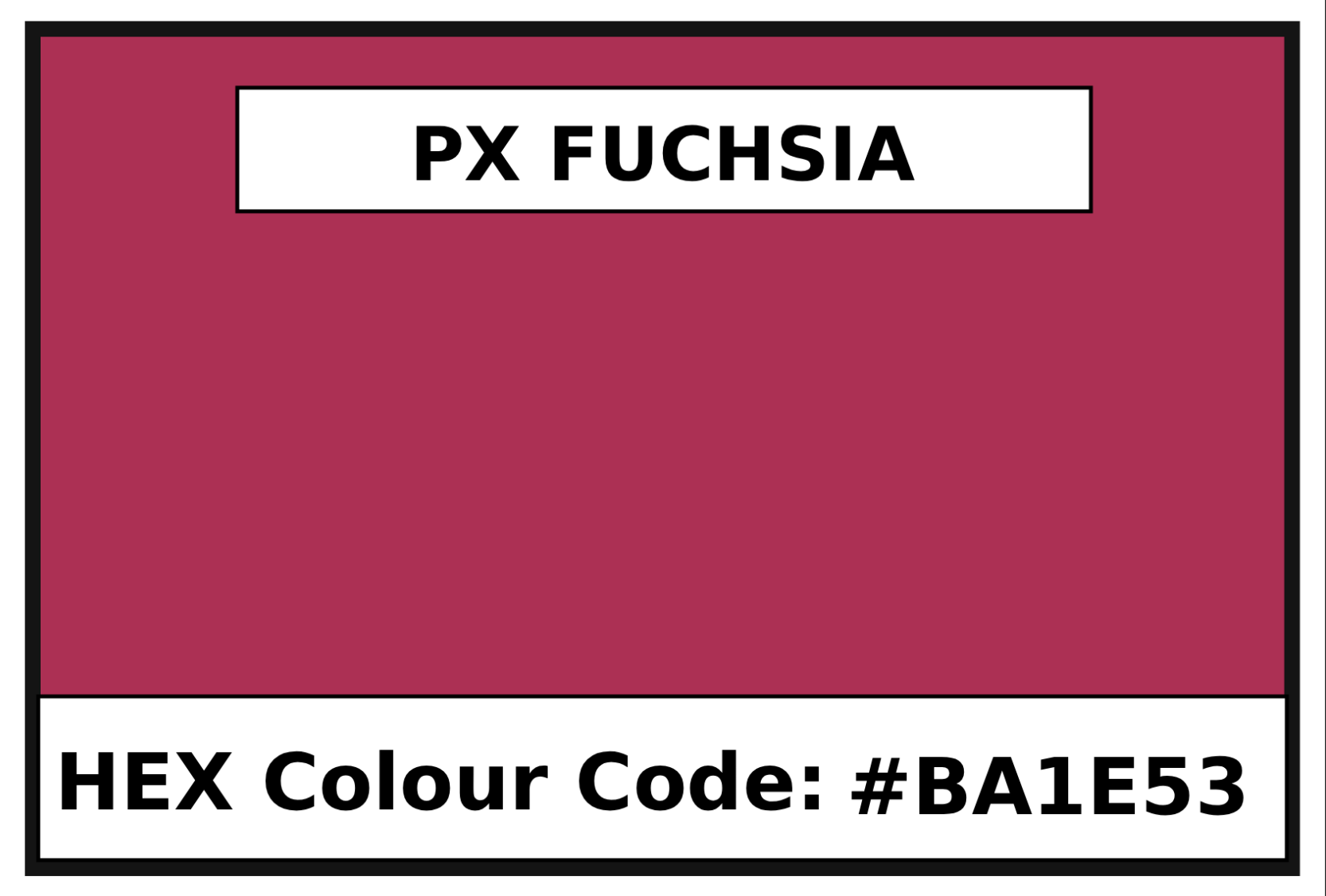 EZ PX Fuchsia
