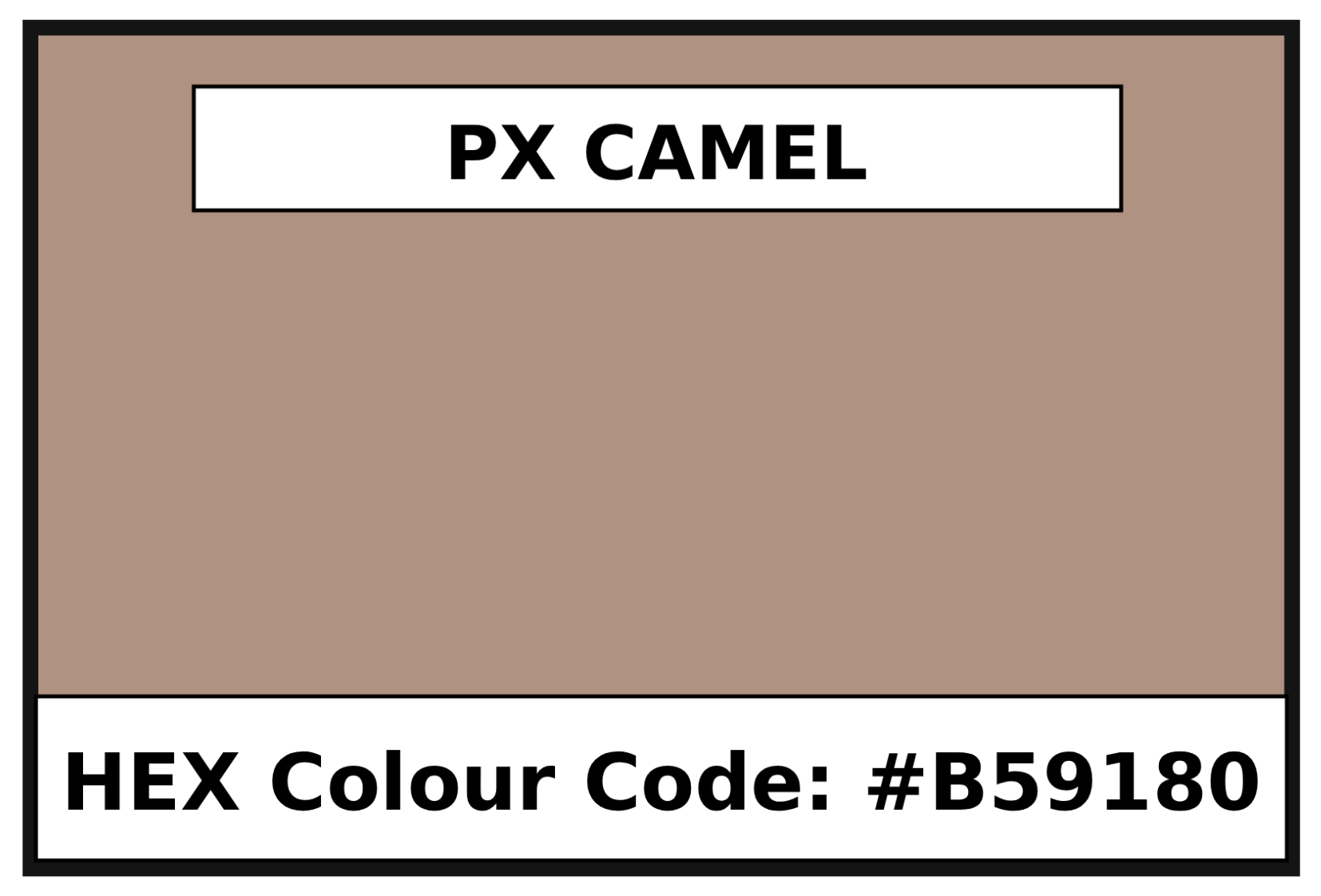 EZ PX Camel