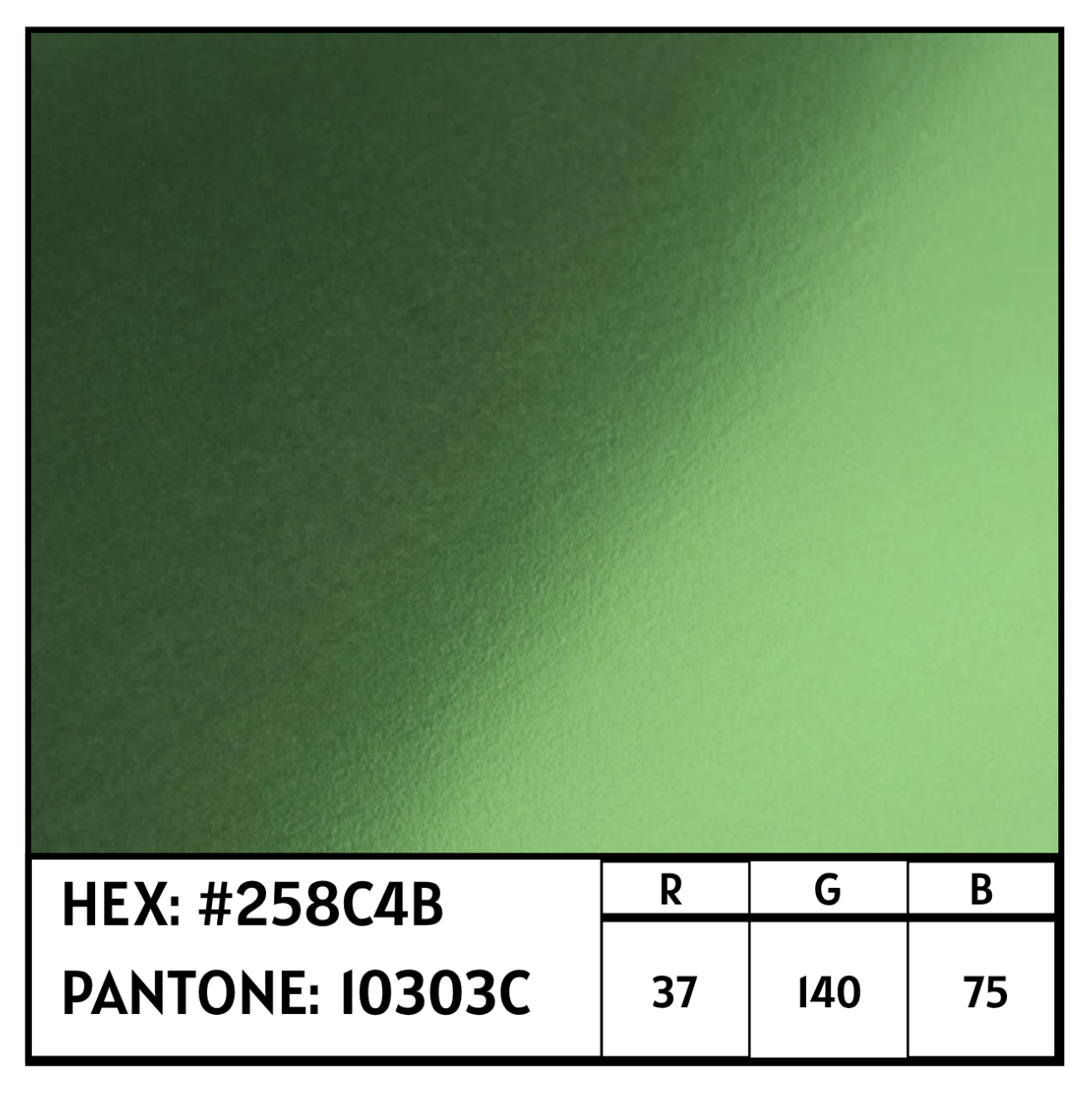 Screenshot 2025-12-12 at 3.47.29 PM.png