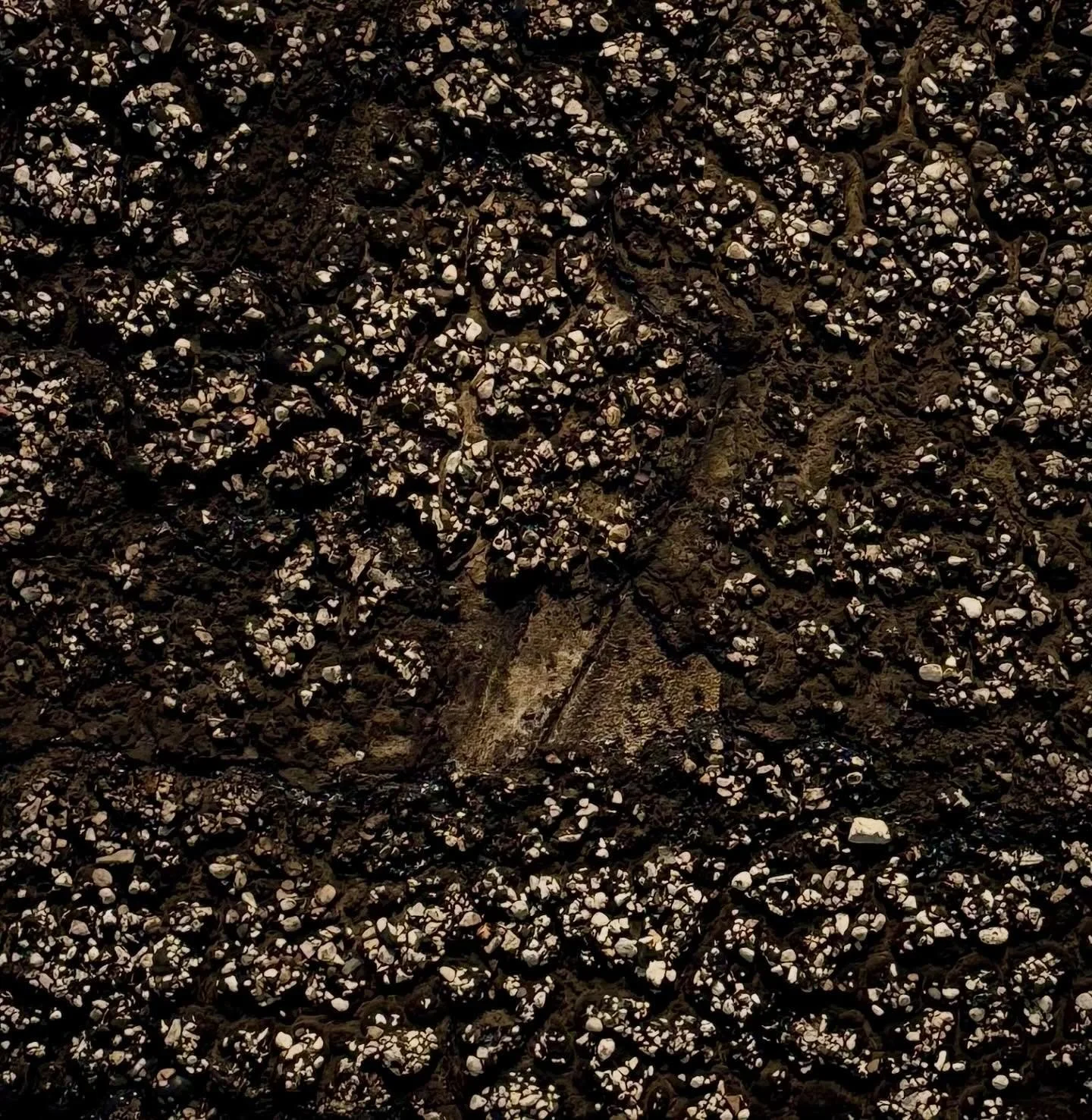 Theaster Gates
OH, YOU&rsquo;VE GOT TO COME BACK TO THE CITY
Oct 16 - Dec 20