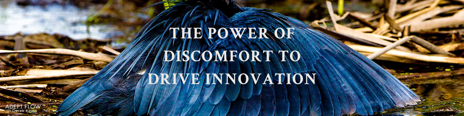 The Power of Discomfort to Drive Innovation