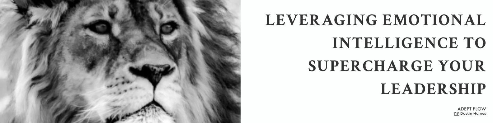 Leveraging Your Emotional Intelligence to Supercharge Your Leadership