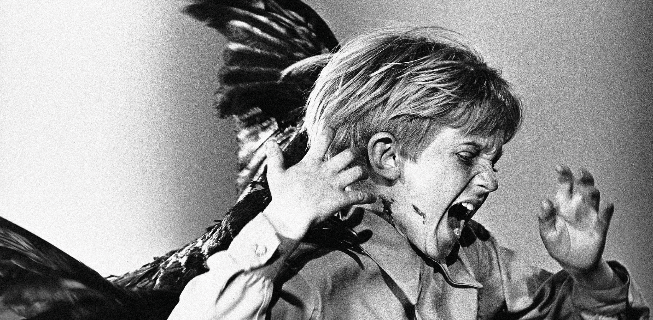 Empesis The Birds Pages20.png