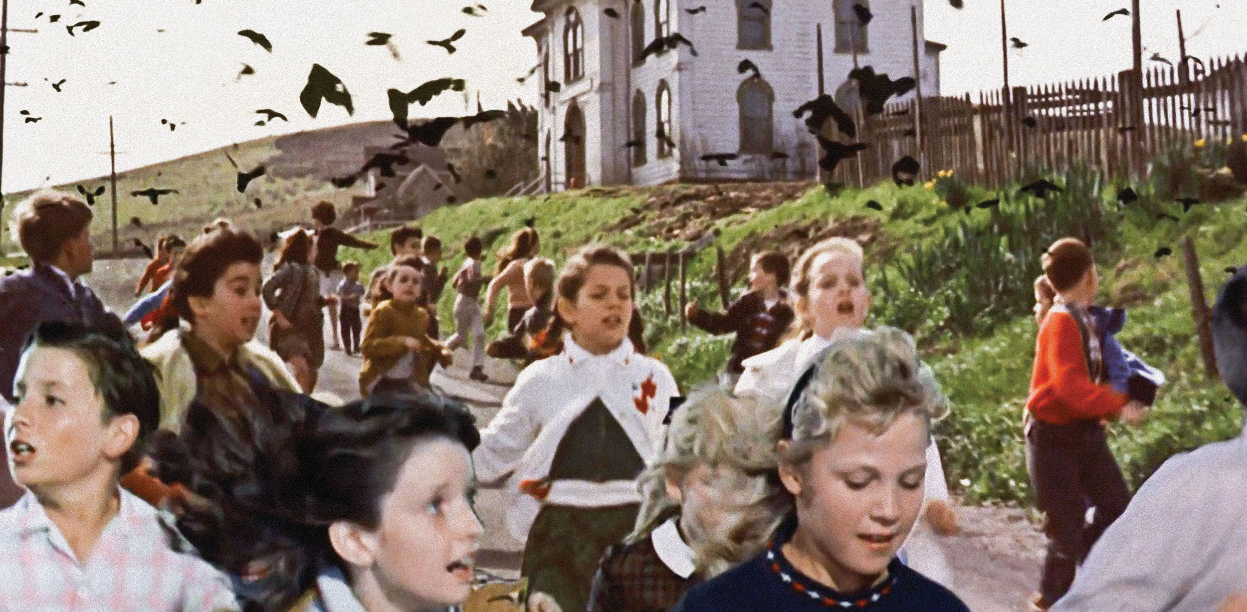 Empesis The Birds Pages13.png