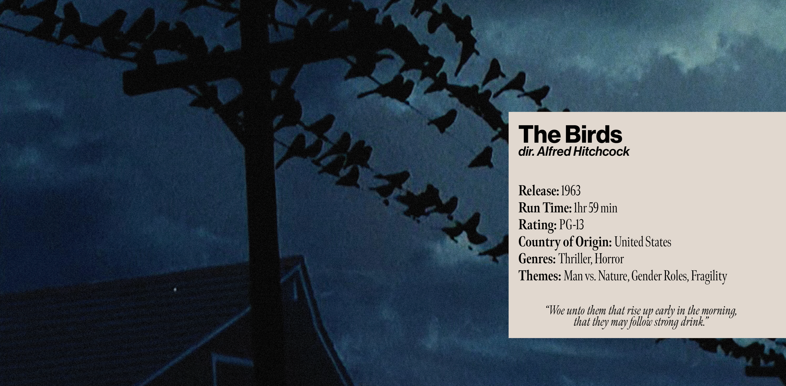 Empesis The Birds Pages5.png