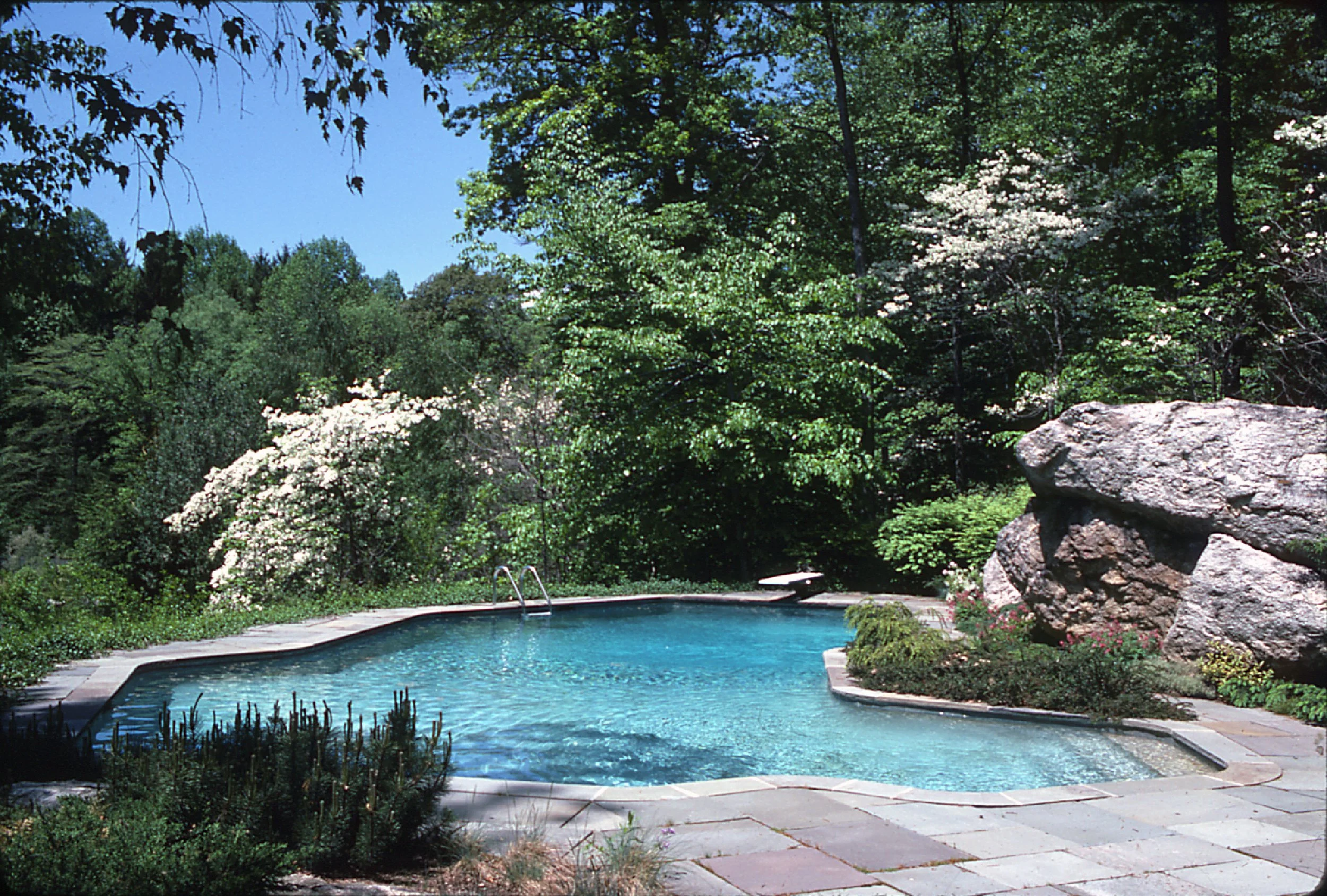 An outdoor swimming pool surrounded by lush green trees and plants, with a rocky formation on the right and a clear blue sky overhead.