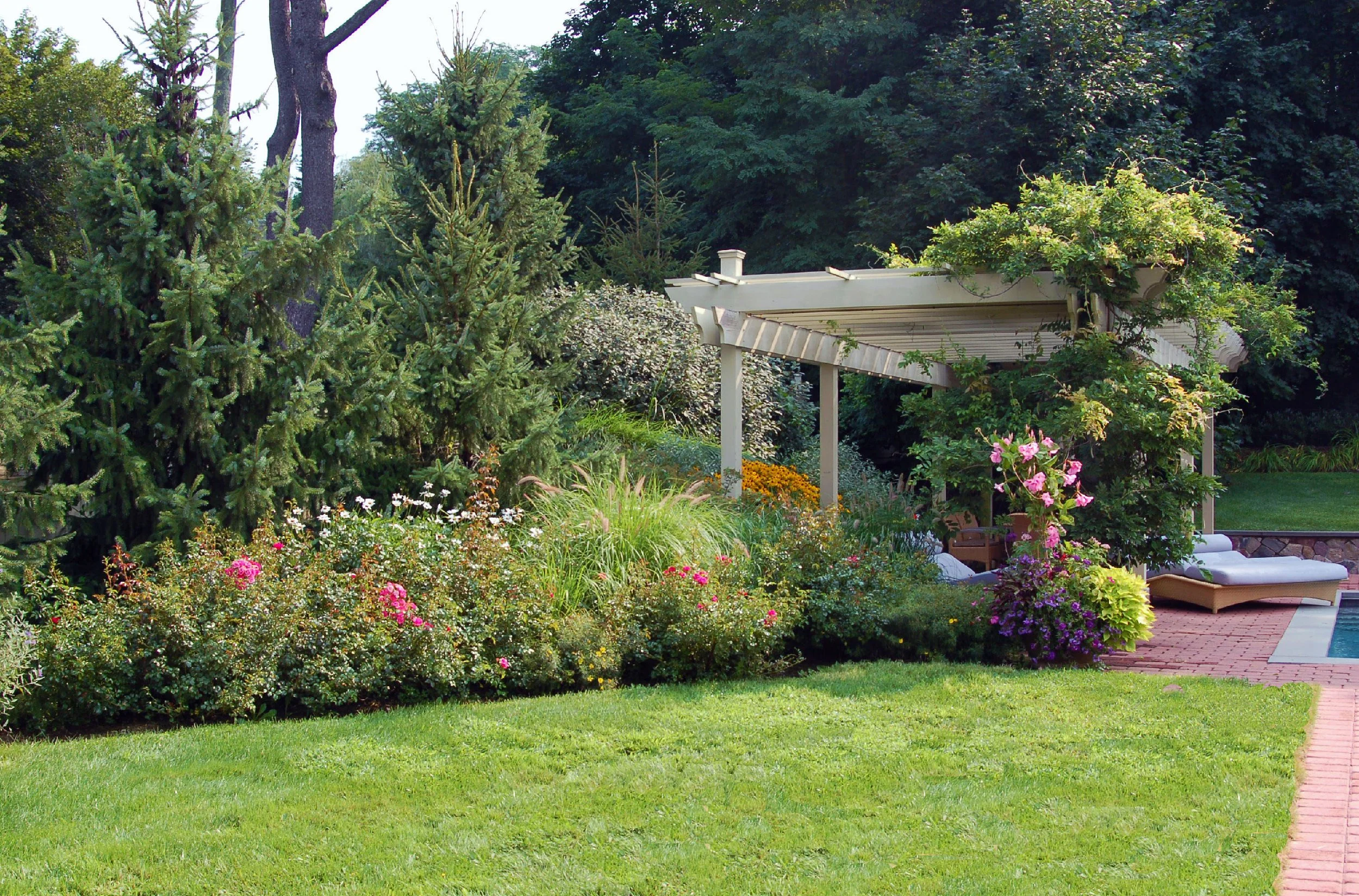 A lush backyard garden with a green lawn, flowering bushes, and trees, featuring a white pergola with climbing plants, outdoor seating, and a swimming pool.