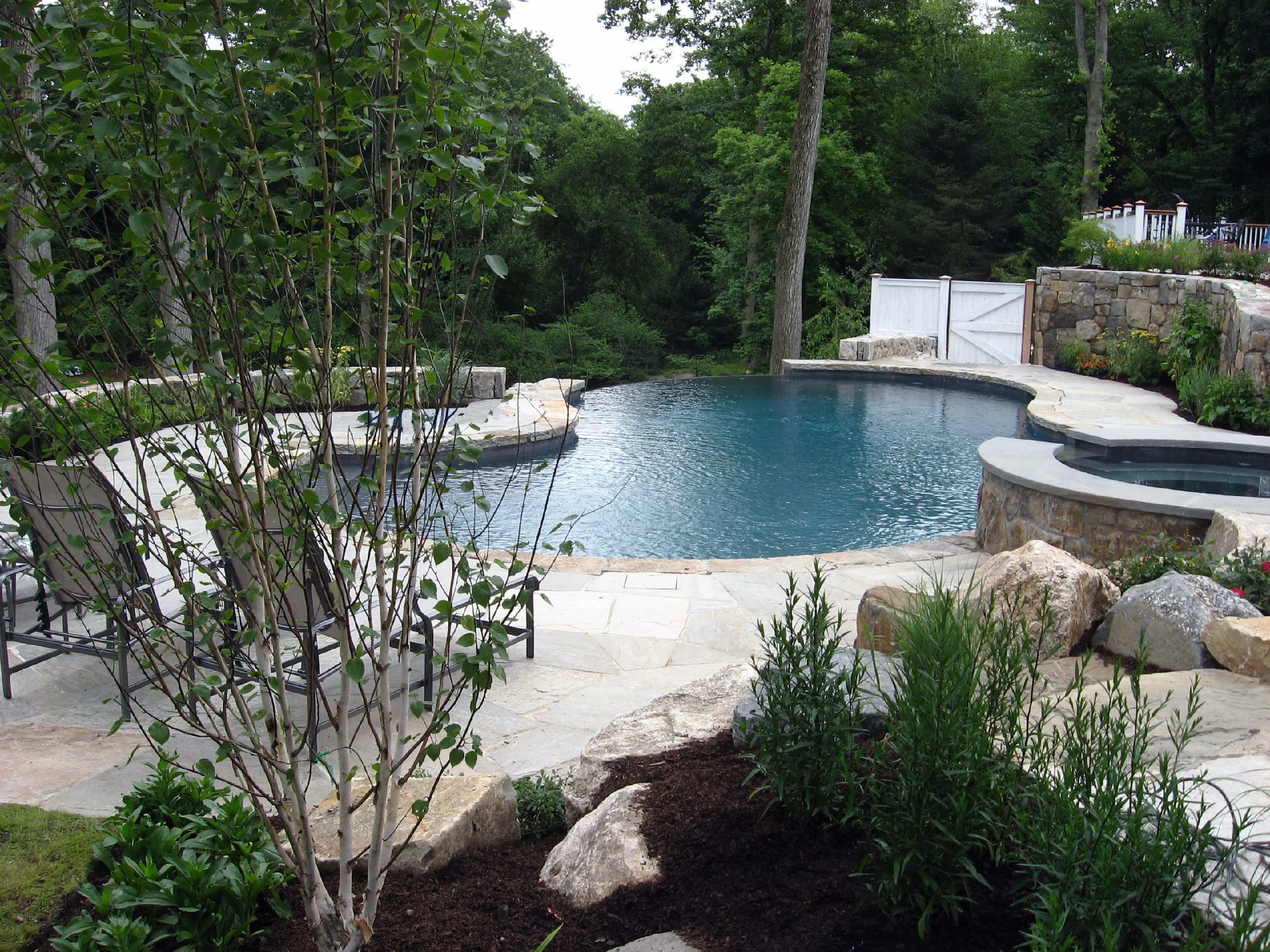 A backyard with a swimming pool surrounded by stone paving and landscaping, including trees, bushes, and rocks, with a white gate and lush green forest in the background.