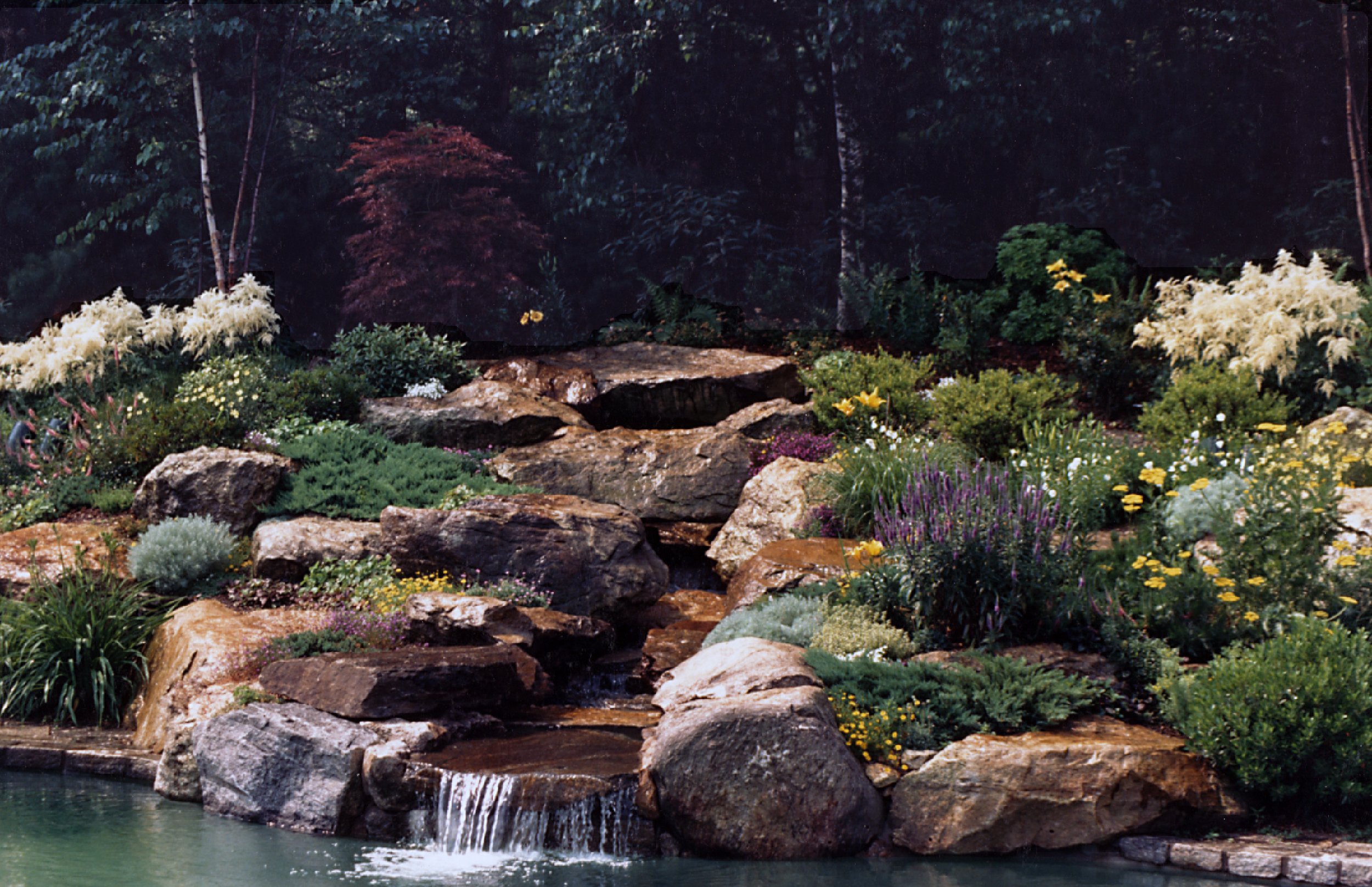 A landscaped garden with a small waterfall flowing into a pond, surrounded by rocks and various flowering plants and shrubs, with trees in the background.