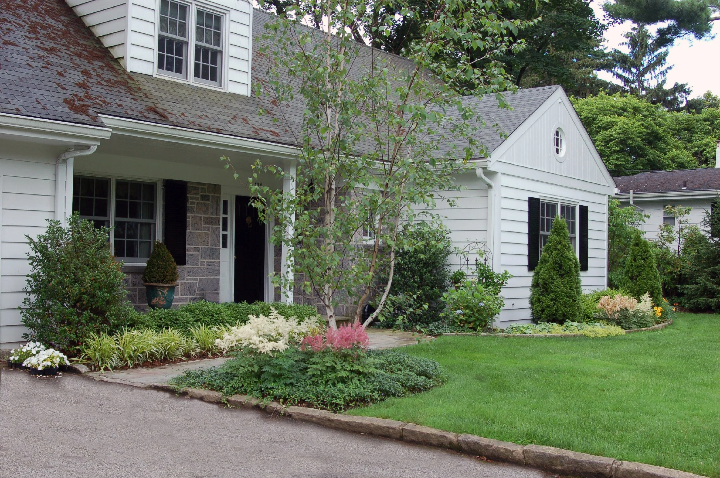 Front yard of a house with a well-maintained lawn, various shrubs, and a tree in the center. The house has white siding, black shutters, and a stone accent wall near the door.