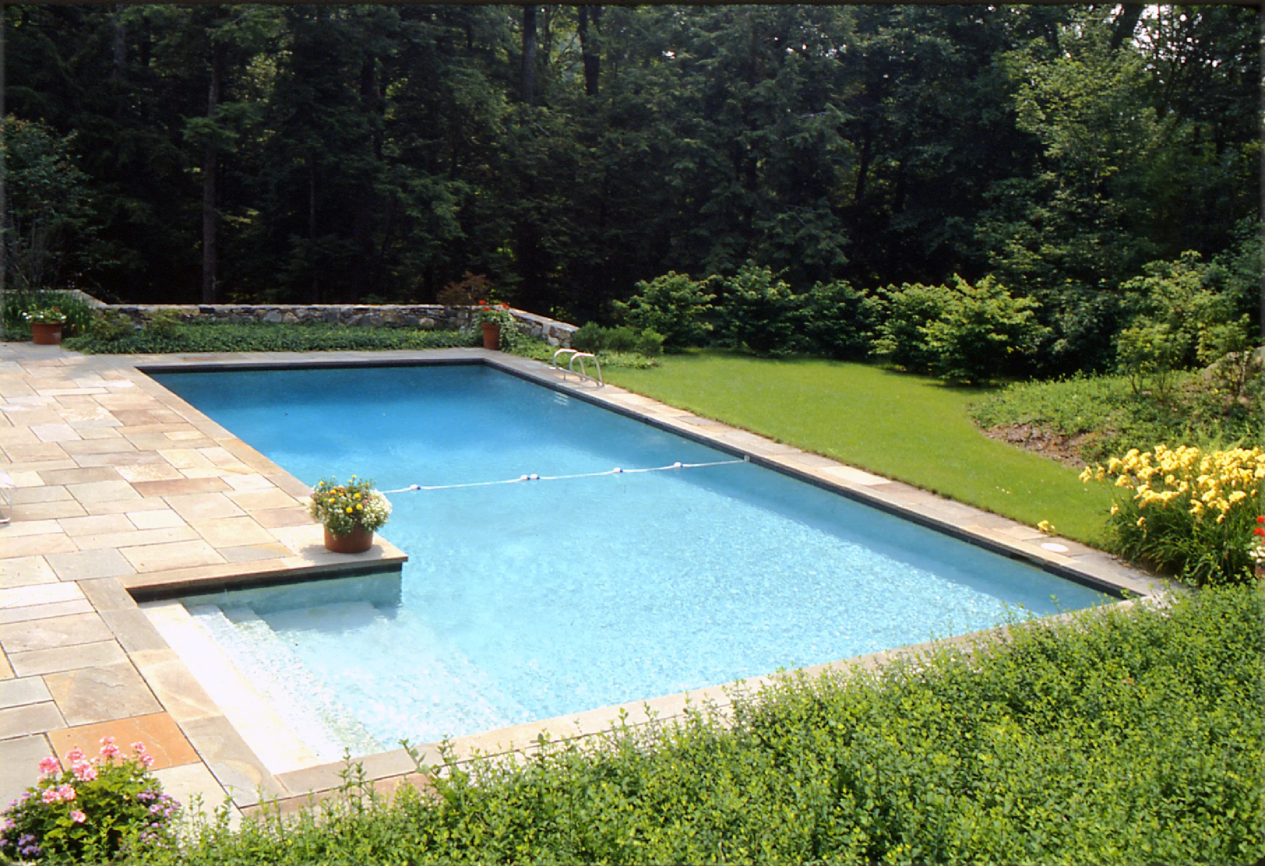 A backyard with a rectangular swimming pool surrounded by a stone patio, green lawn, and lush trees.