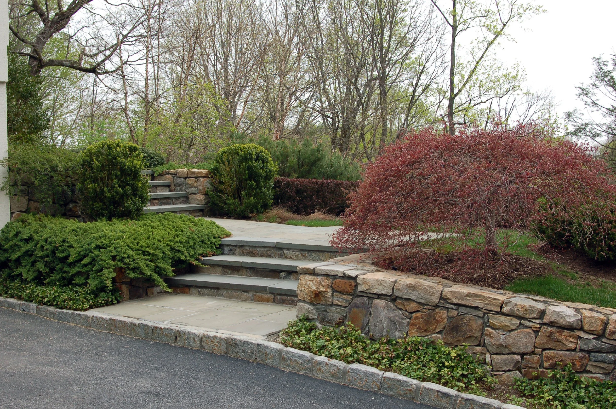 Stone steps leading up a landscaped garden with bushes, shrubs, and small trees along a paved pathway.