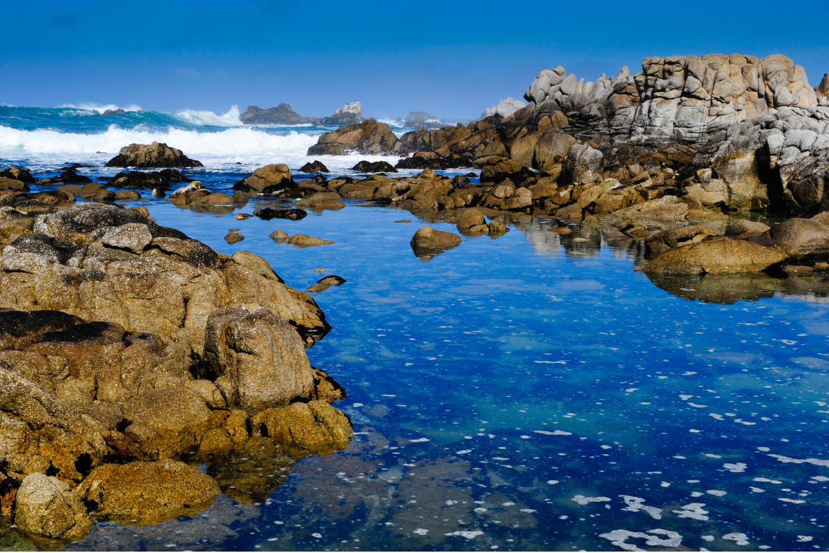 Exploring the tidal pools in Get Real .