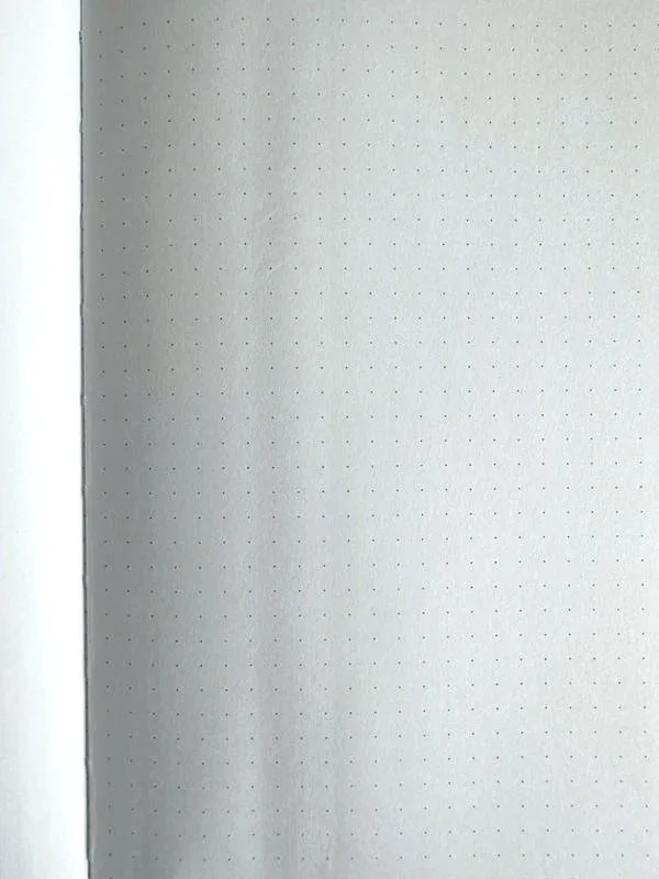 Dotted+Journal+2.jpg (Copy) (Copy) (Copy) (Copy)