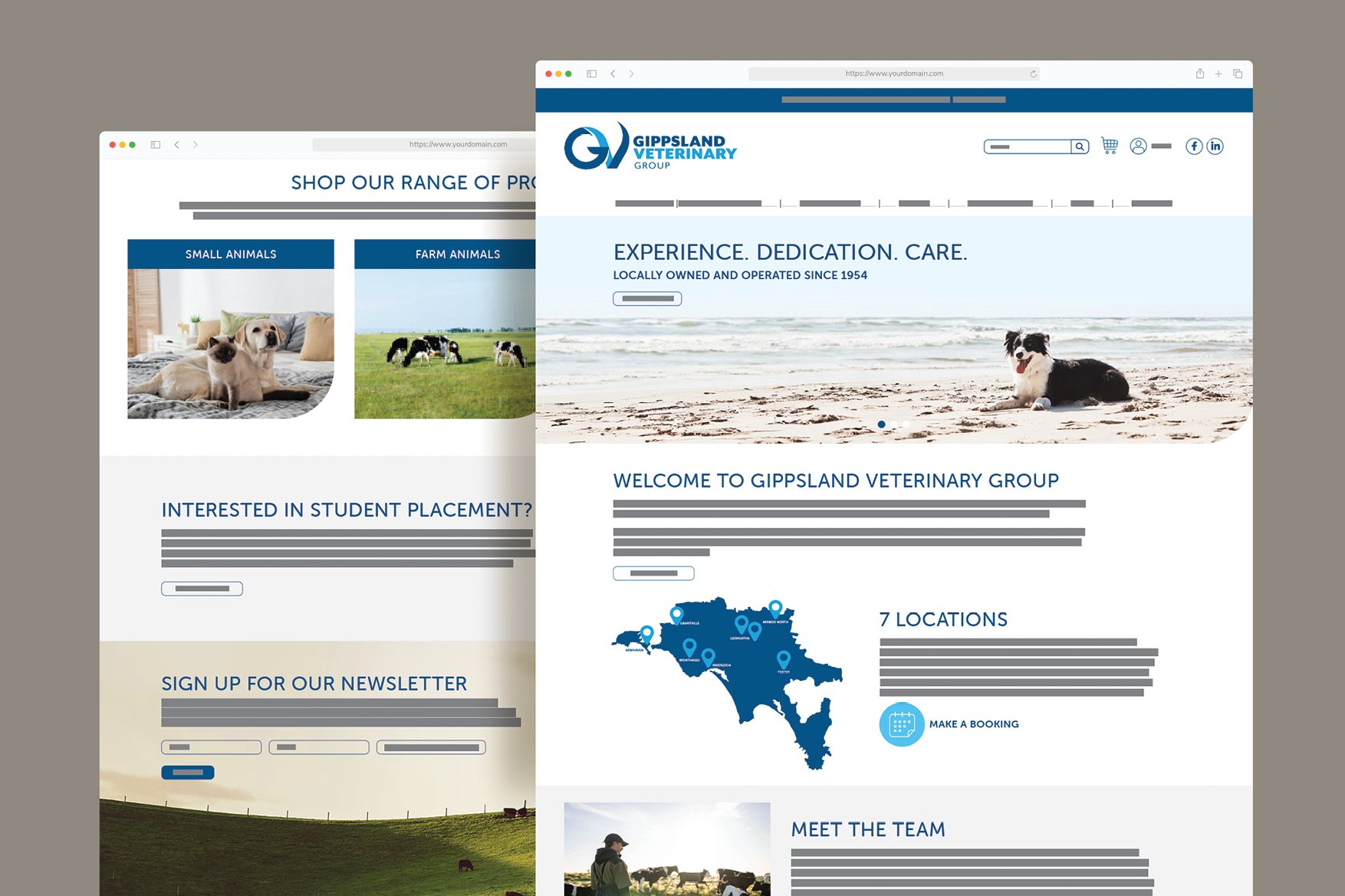 Agency Folk Video Slides - 41.jpg