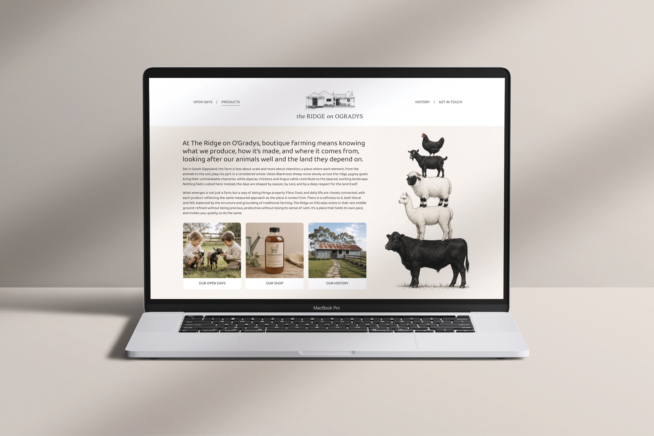 Agency Folk Video Slides - Culled_95.jpg