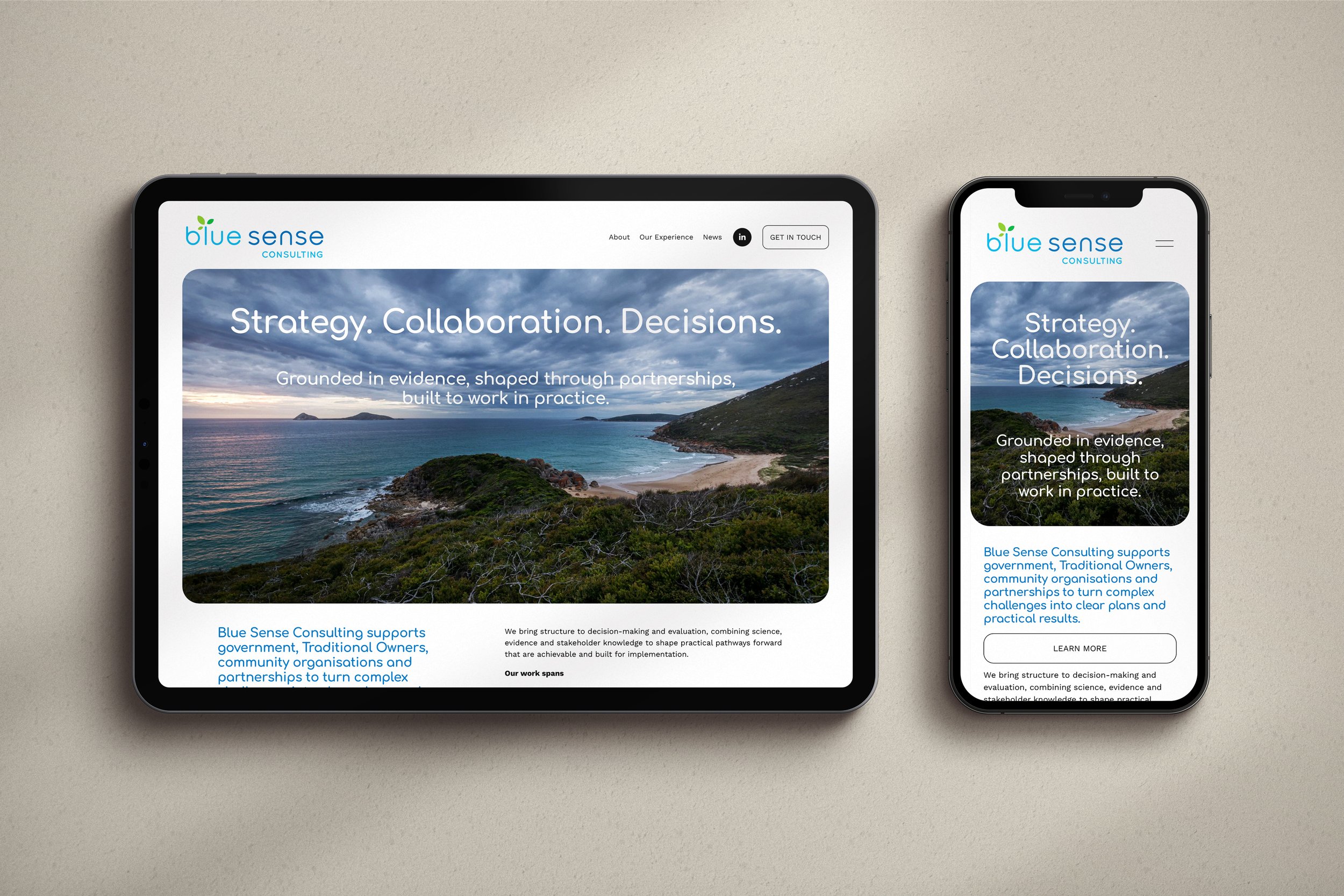 Blue Sense Web Mockup copy.jpg