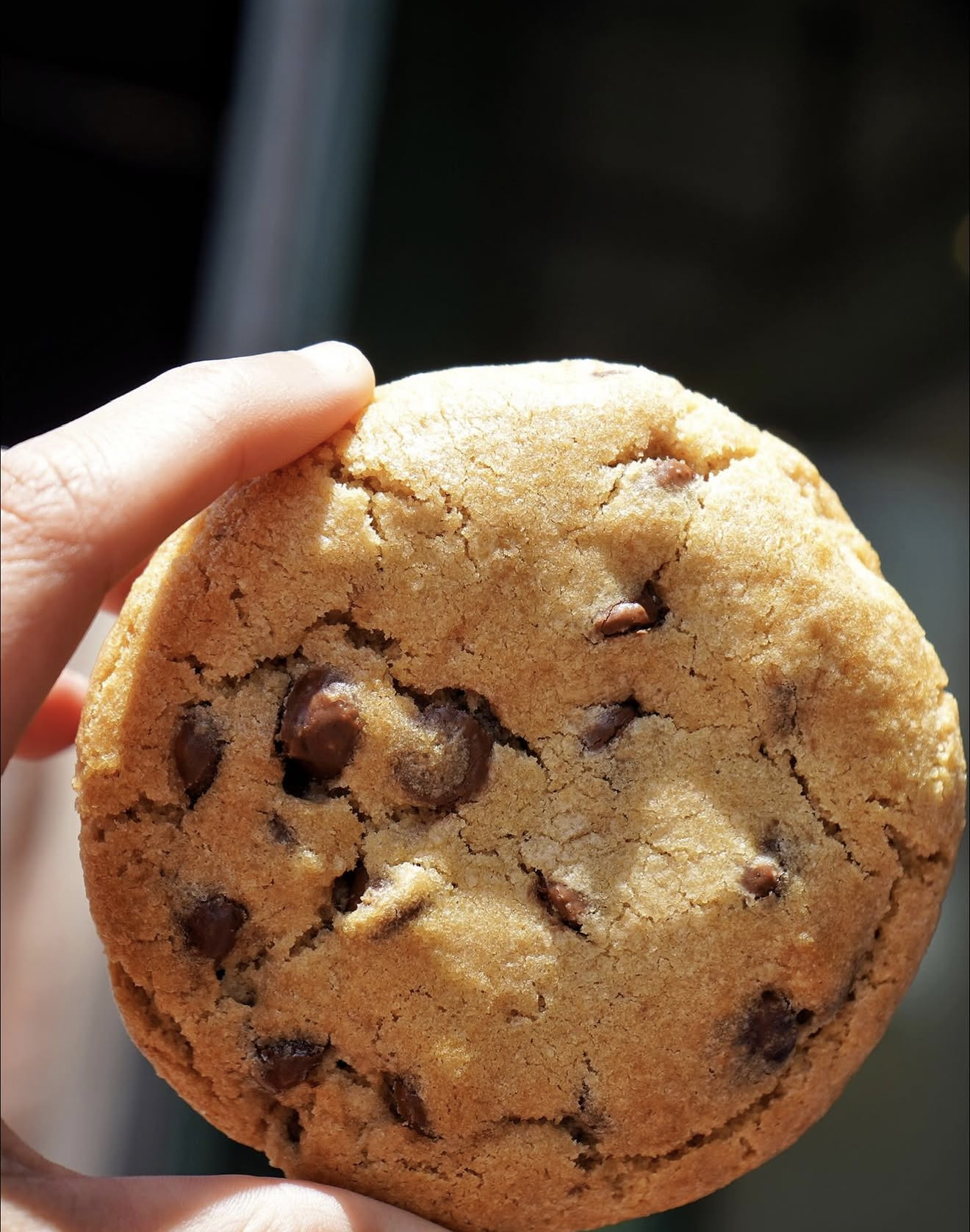 Screenshot 2025-12-19 at 12.29.58 PM.png