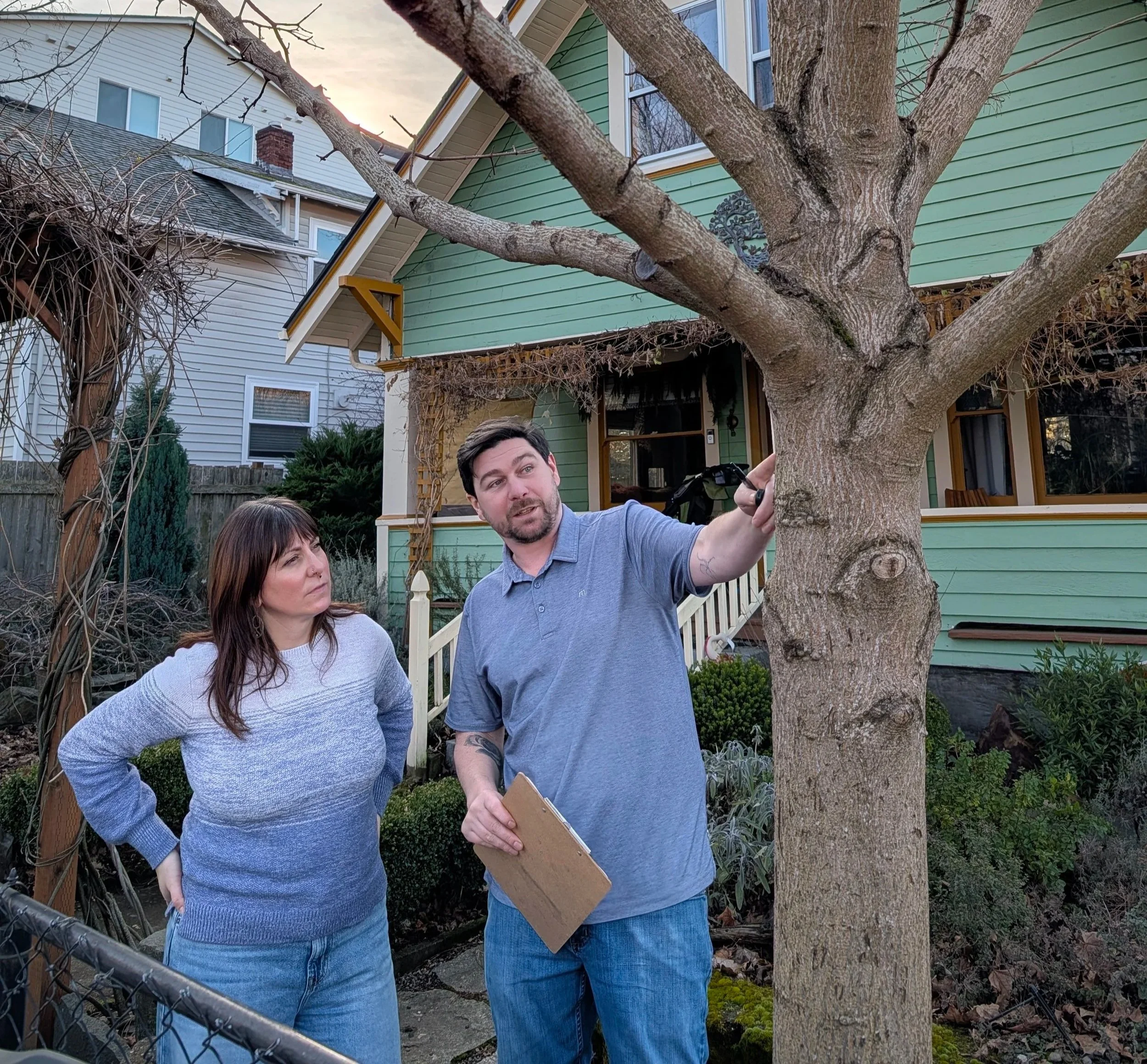 arborist, meeting, consultation, report, tree question