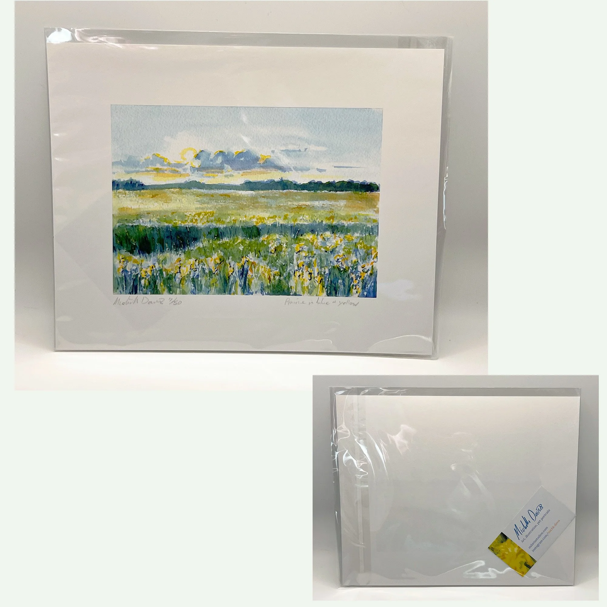 prairie_blue-yellow_web_packaged.jpg