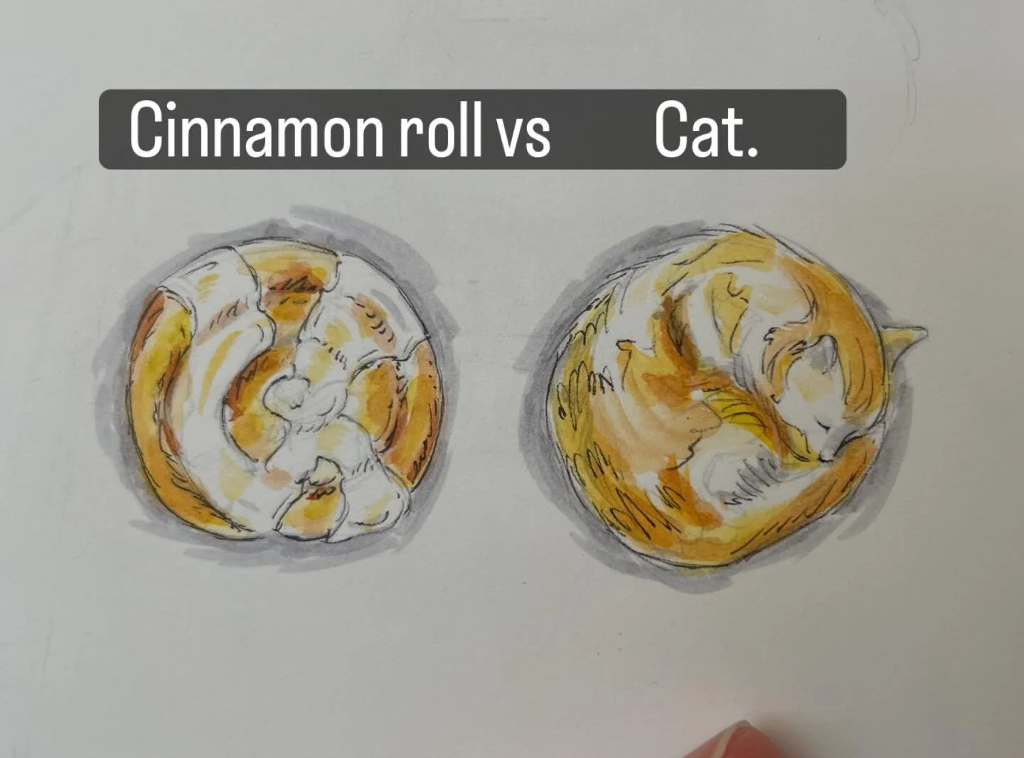 I&rsquo;ve started some super important illustration development work on depicting cinnamon rolls vs curls up cats 😆. Simple watercolor and pen.  #watercolorsketch #catart #justforfun