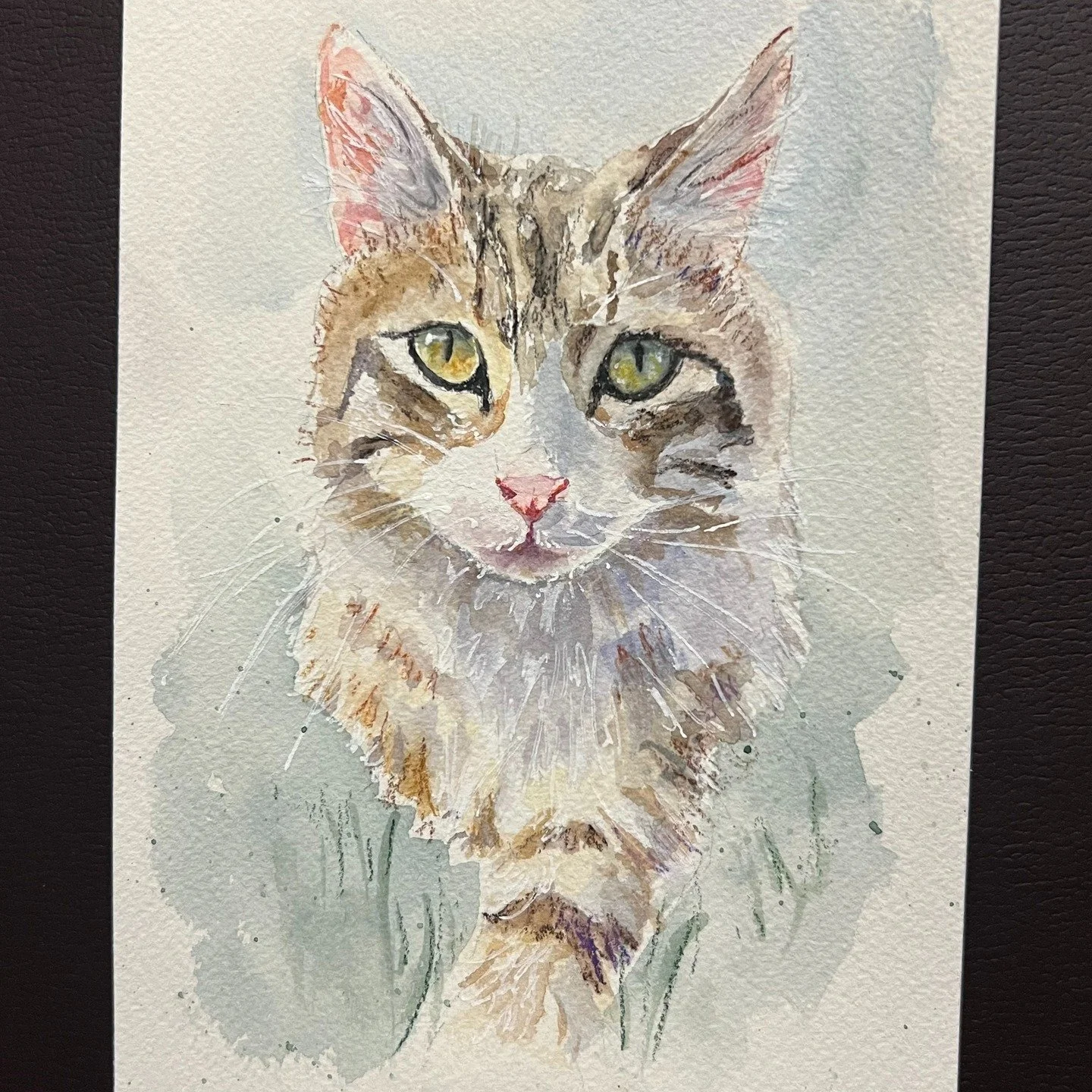 It feels a bit frivolous to share a pet portrait, but delight and joy is always important. 
Ross Gay says it better in his "The Book of Delights" https://www.rossgay.net/the-book-of-delights

#catportrait #petportrait #watercolorcat #mnarti