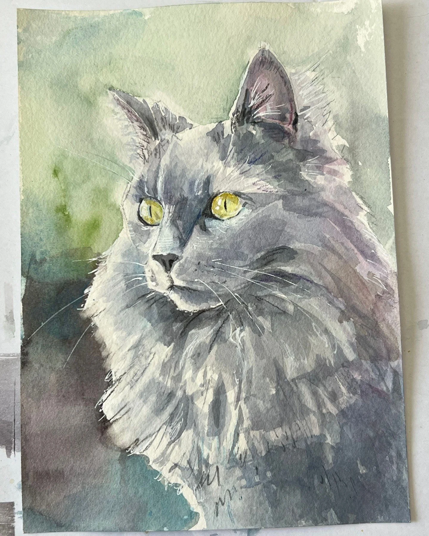 Smokey the cat is finished! Swipe for process photos including rough initial thumbnail. Watercolor, watercolor pencil, and some white for highlights. Definitely ended up improving the background colors.
#catportrait #petportrait #petpainting #waterco