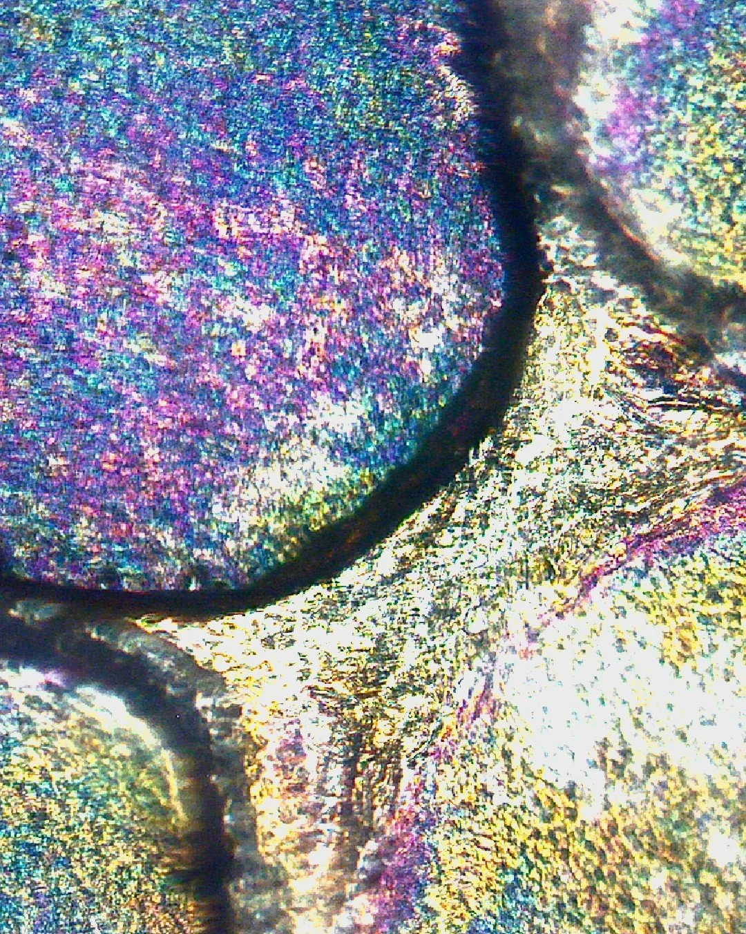 Got out the microsope to check out some shed leopard gecko skin - pretty dreamy and iridescent! #accidentalart #microscopicart #gecko #leopardgecko