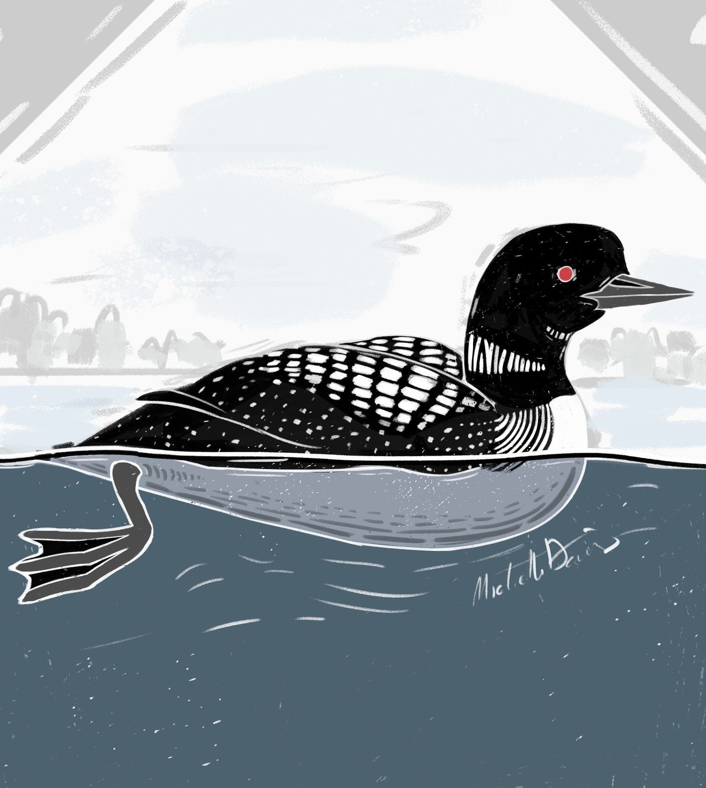 work-in-progress loon!, digital (photoshop). Going for a block-printing sort of style.
I've been pouring over a ton of loon photos and videos for a stylized yet accurate illustration. These animals can hardly walk on land they're legs are positioned 