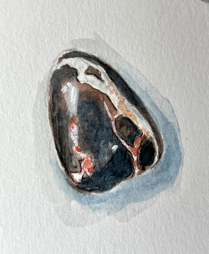 Could I make a viable living as a rock portrait artist?? 🤣  I would seriously say yes to commissions.
Weeks ago on Lake Superior I didn't find the beloved agates, but there were plenty of other interesting rocks like this crystal streaked one.