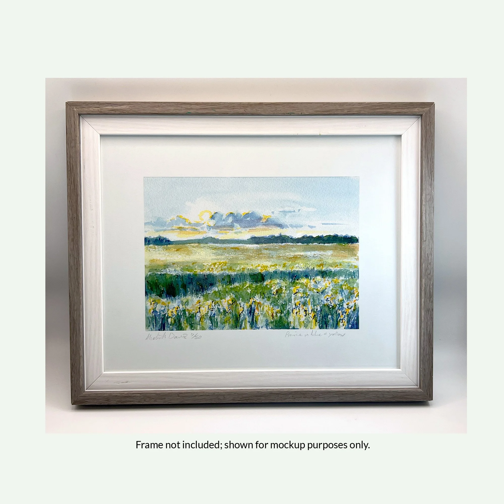 prairie_blue-yellow_web_framed.jpg