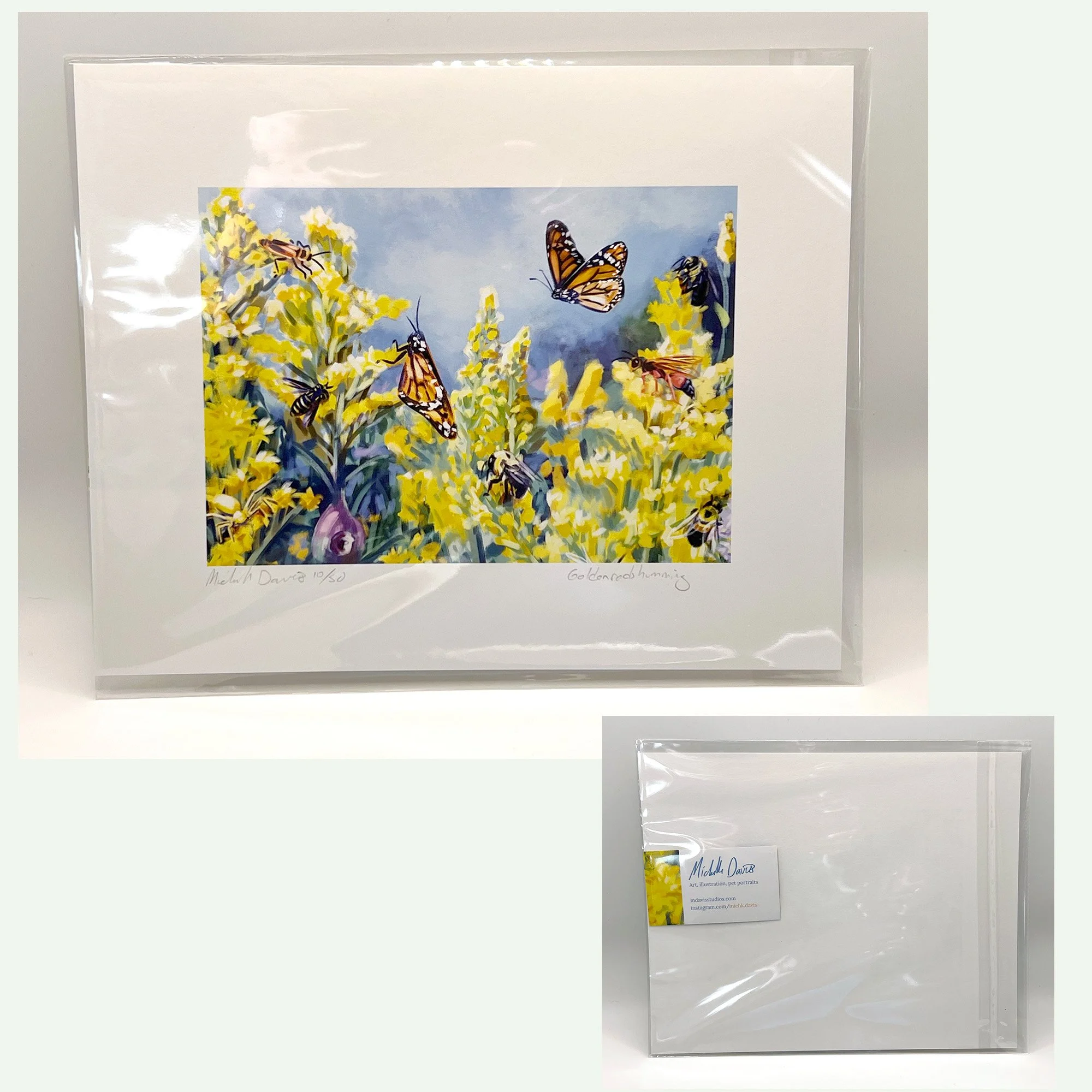 goldenrod_web_8x10_packaged.jpg