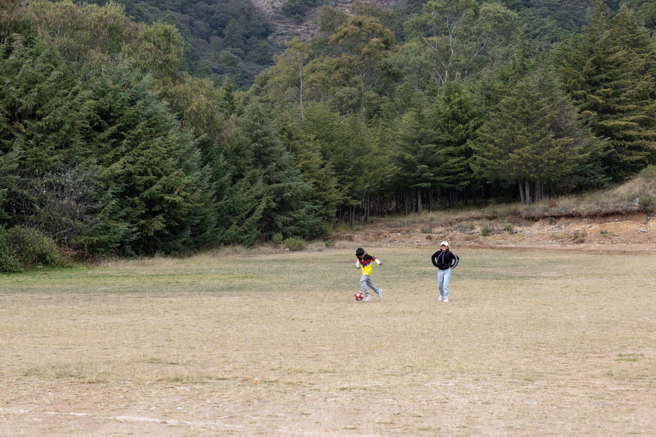 RM-2025-D-006938.jpg