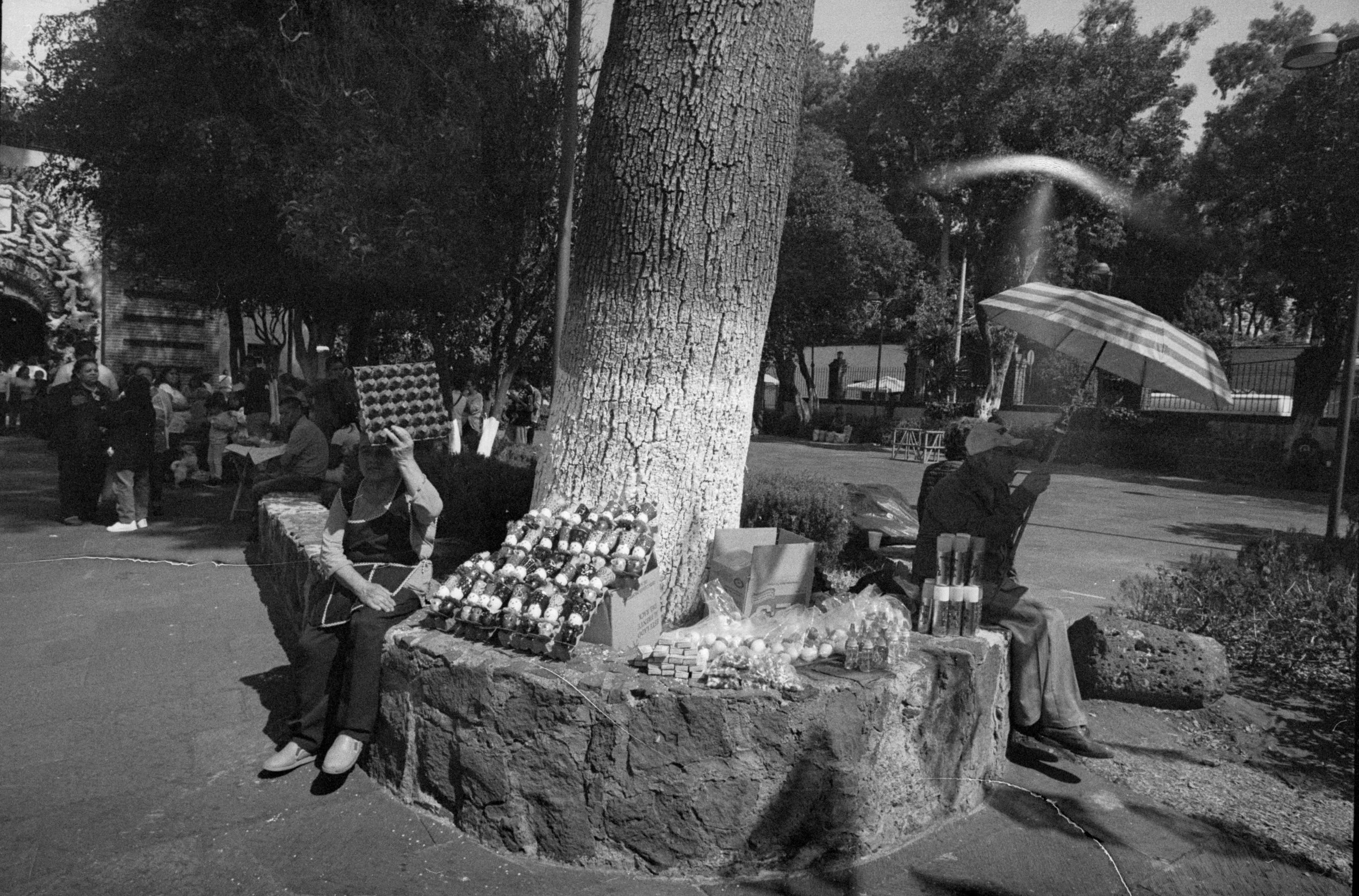 08-20240421_Xoco E_TiraA_02-XOCO_TERCERA SELECCIÓN.jpg