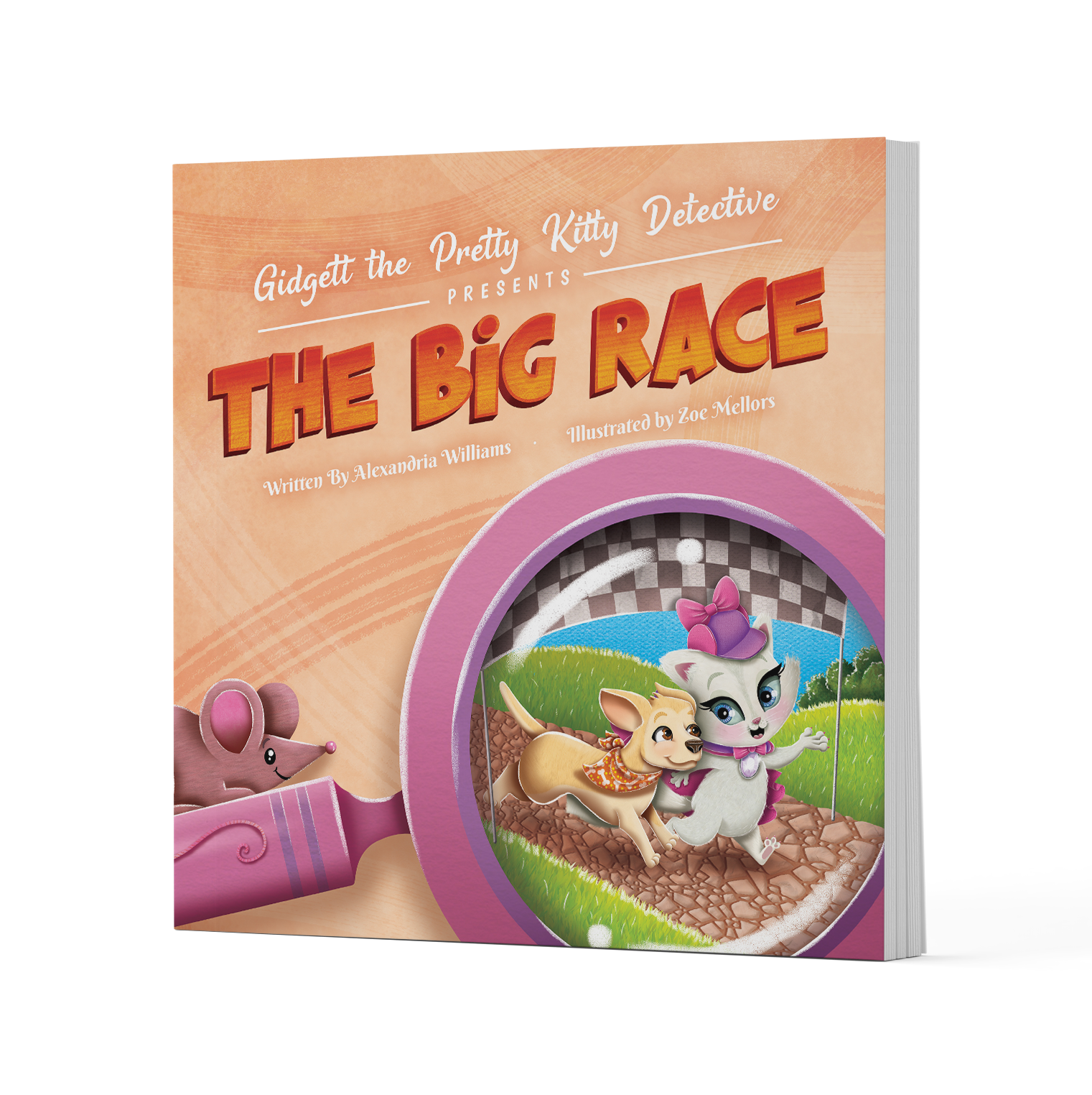 The Big Race - Paperback