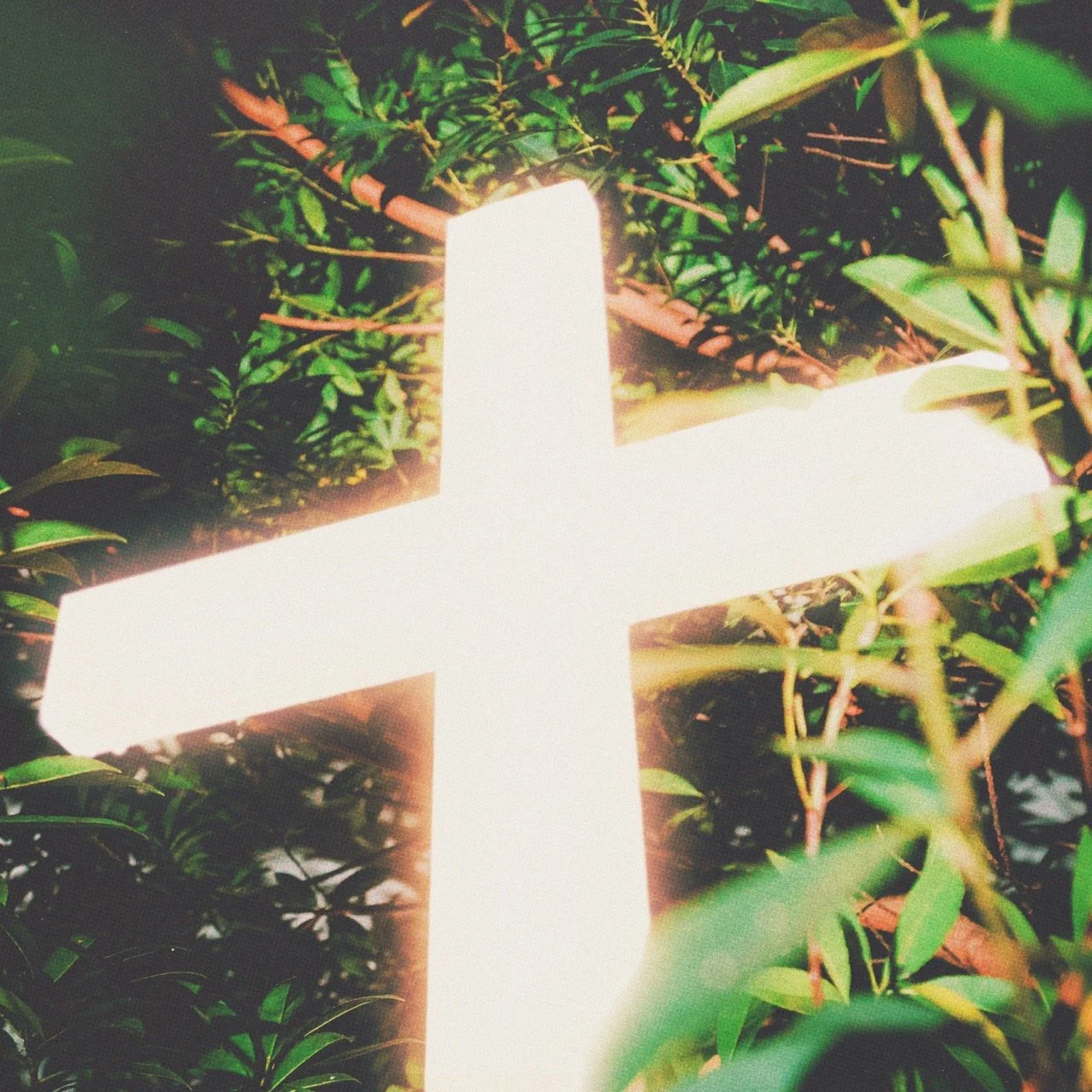 Bright illuminated cross sign among green foliage.