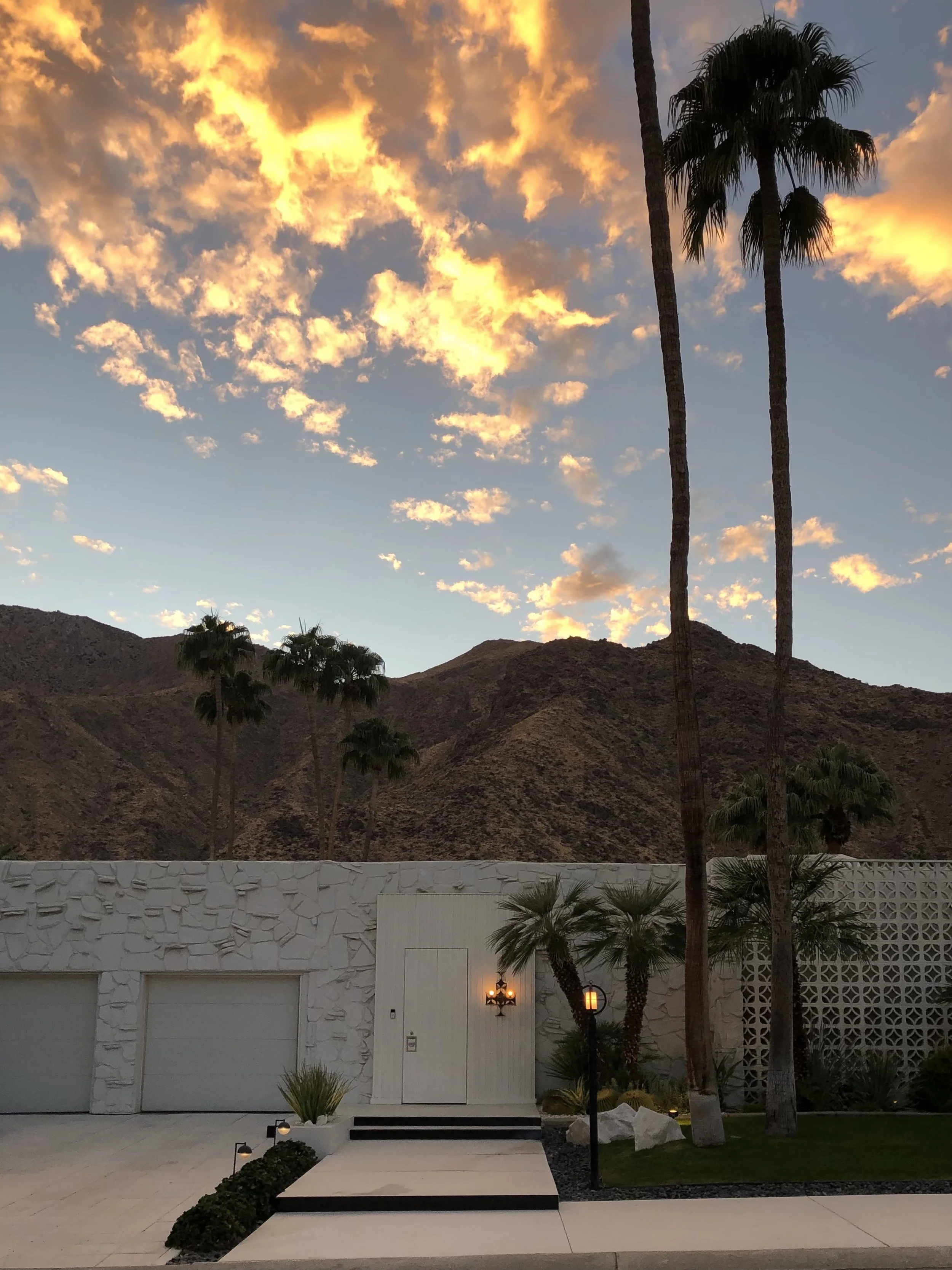 IMG_3993.jpeg