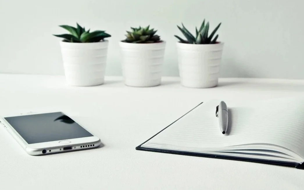 Desk with plant, notebook, and pen