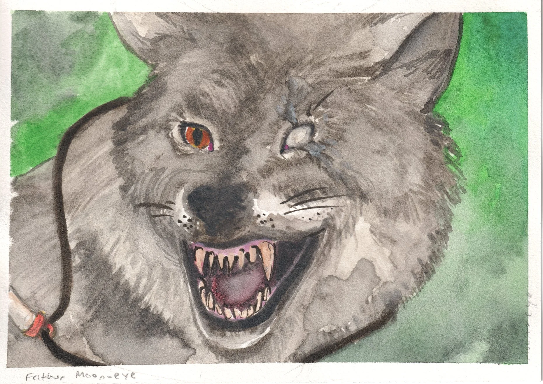 Father Moon-eye the Wolf.jpg