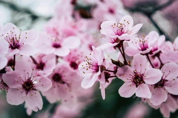 From Compromise to Conscious Choice