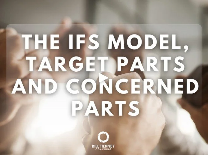 The IFS Model, Target Parts, and Concerned Parts