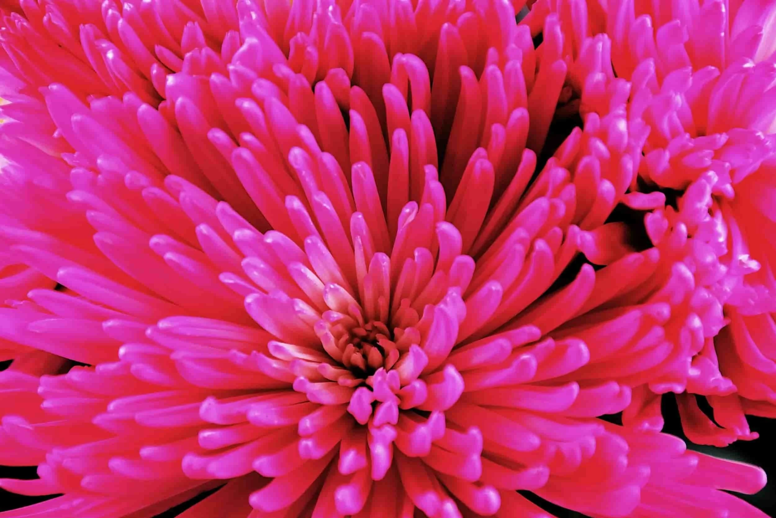 The History of True You Groups 