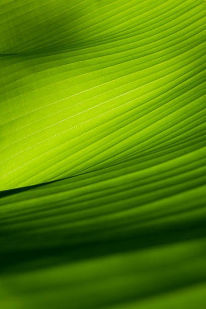 Is EMDR &amp; Hypnotherapy Safe? Why Preparation and Screening Matter Before Trauma Processing