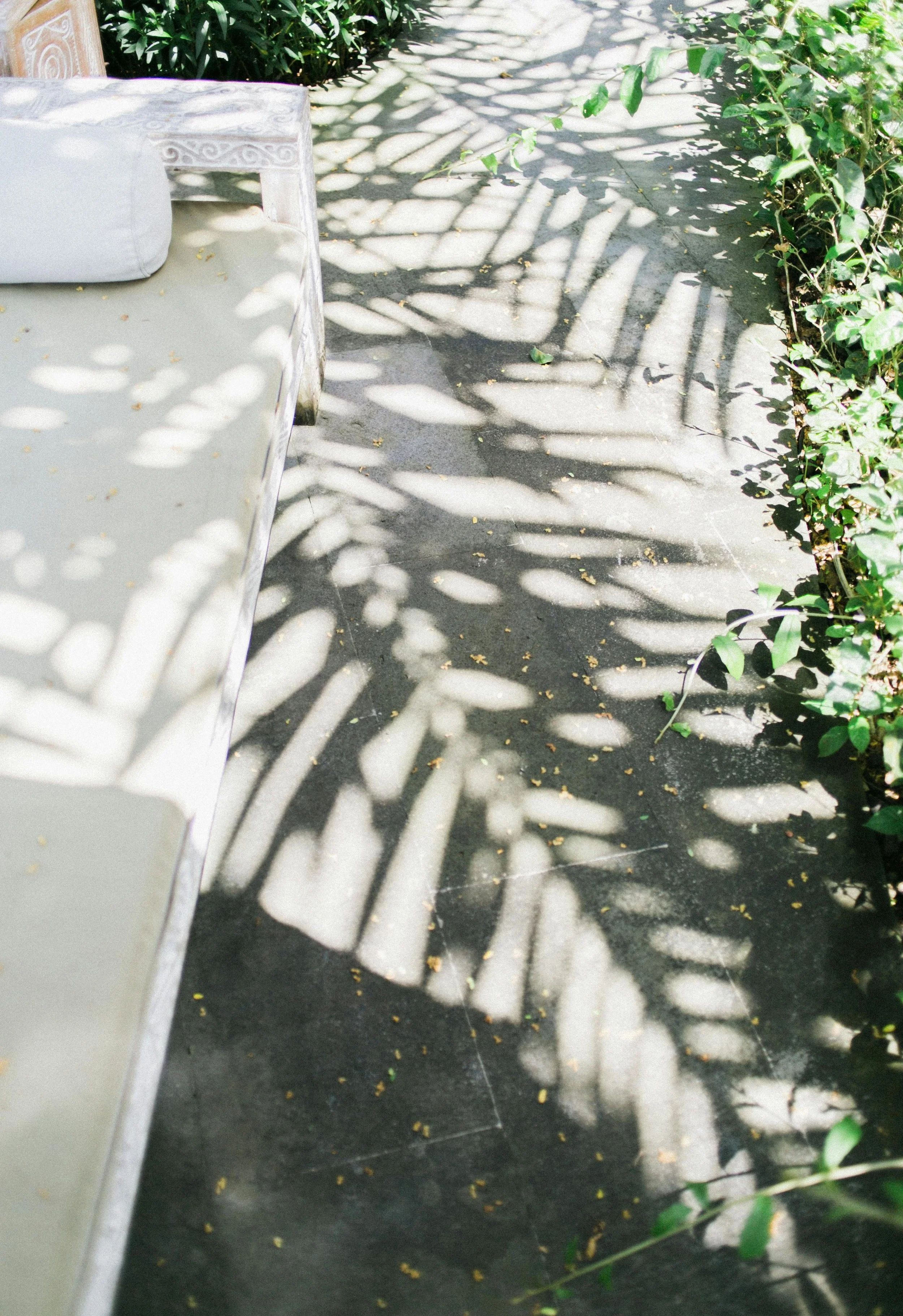 botanical-shadow-on-deck