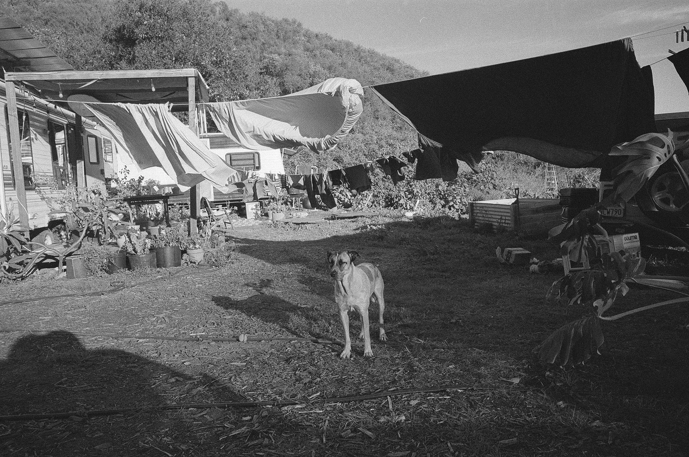 000061270032 copy.jpg