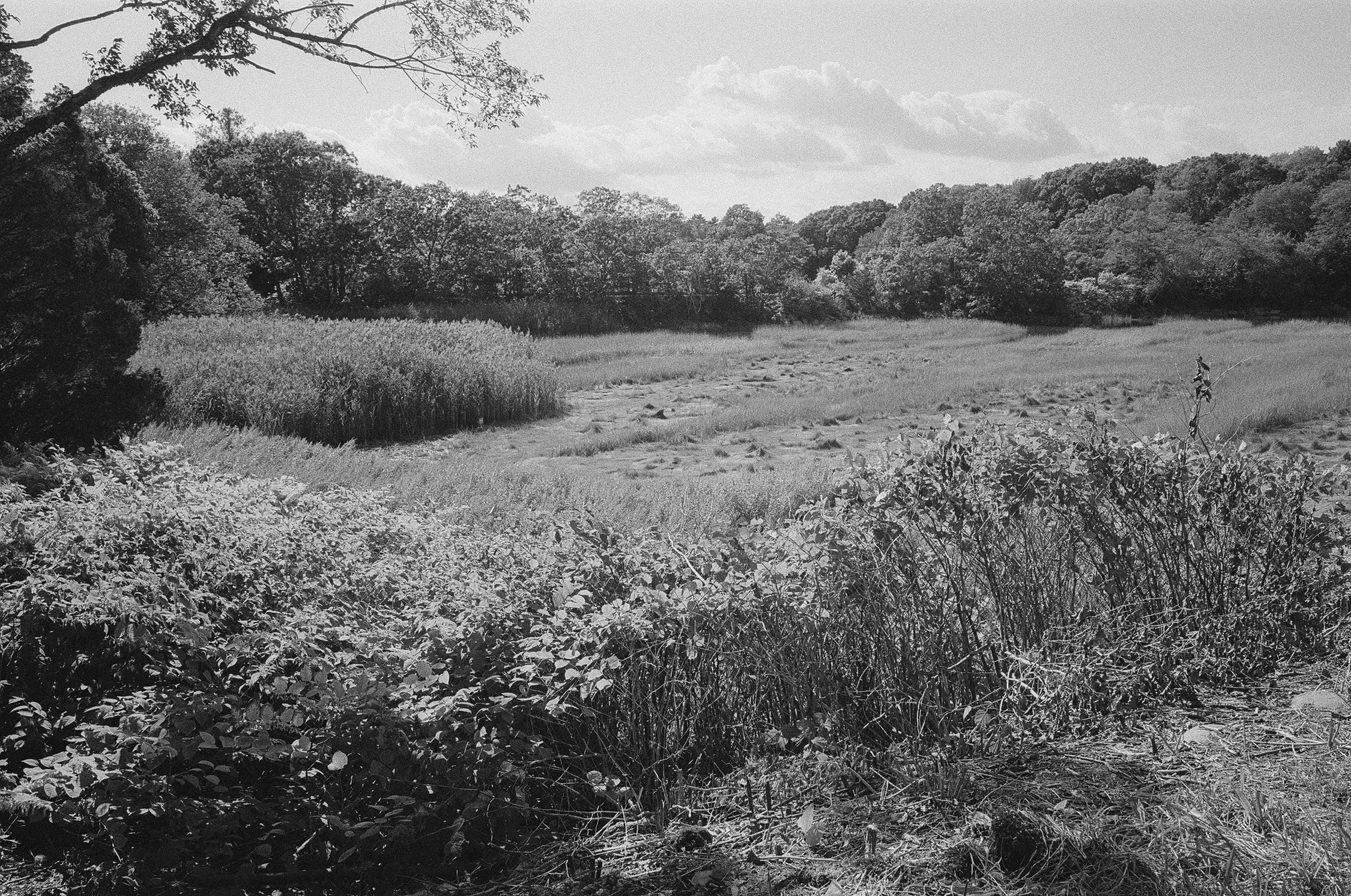 000050980022 copy.jpg