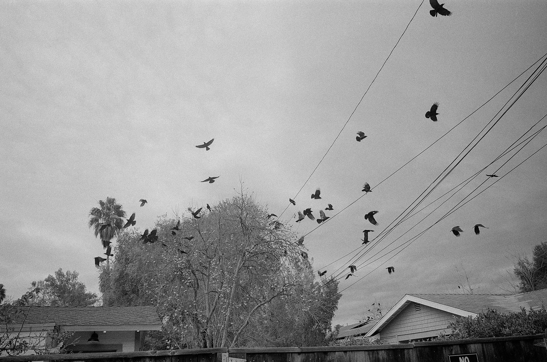 tsmith_000061270027 copy.jpg